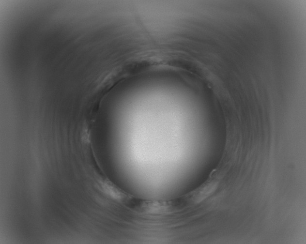 X0000054370384200508121547