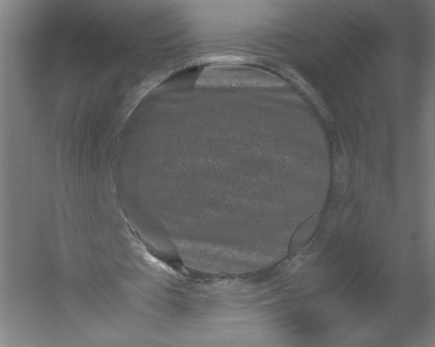 X0000054370385200508121546