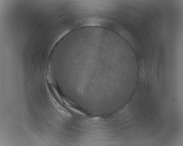 X0000054370386200508121546