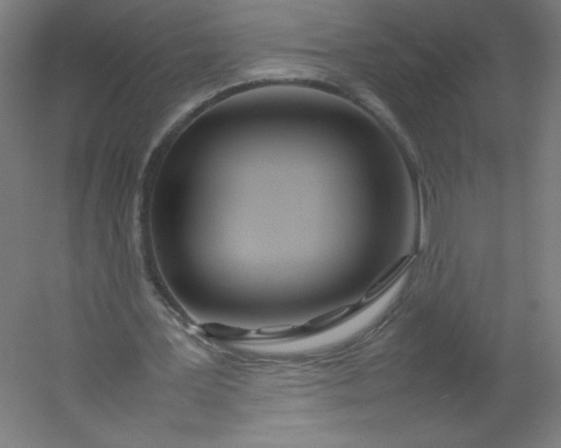 X0000054370387200508121546