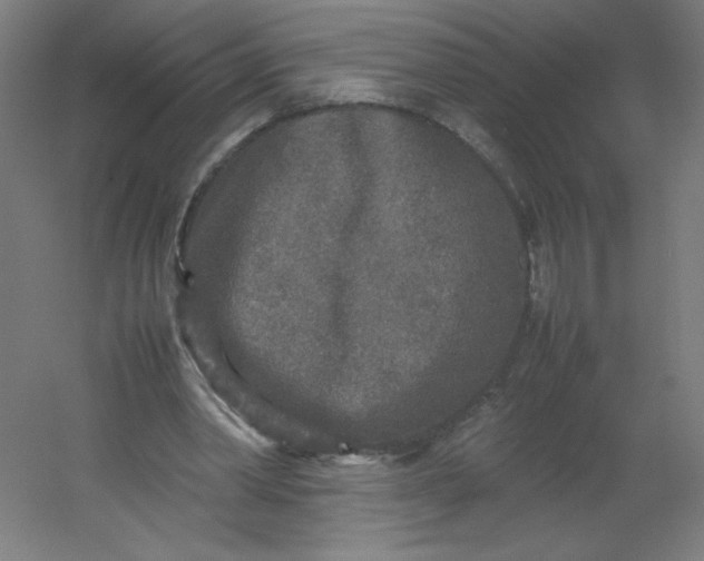 X0000054370390200508121546