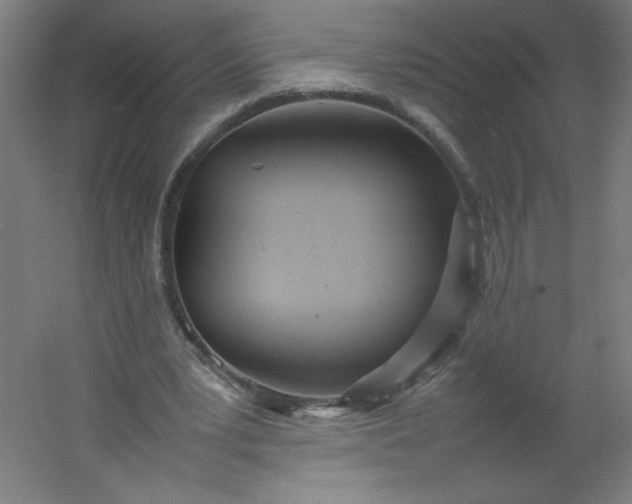 X0000054370391200508121546