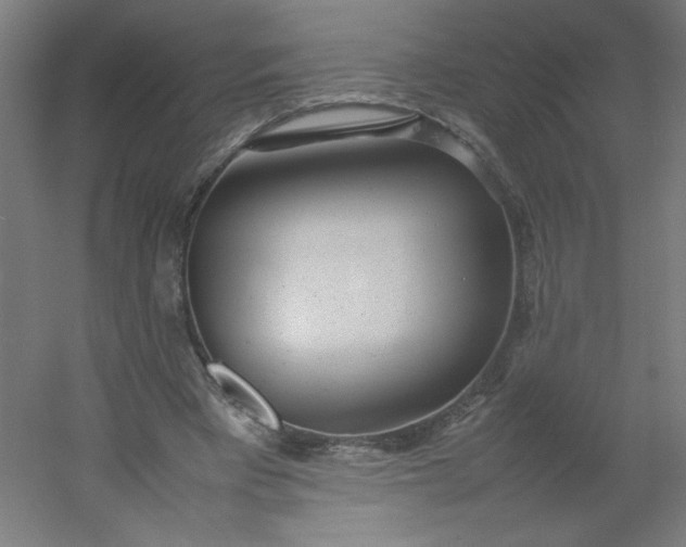 X0000054370393200508121546