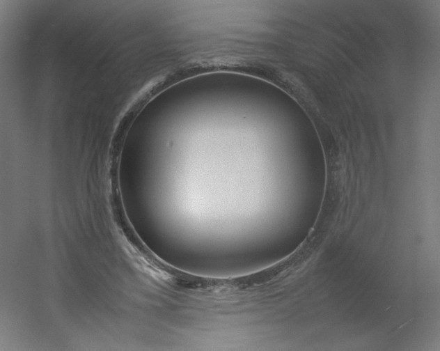 X0000054370395200508121546