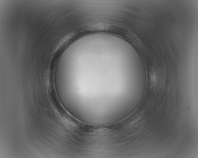 X0000054370396200508121546