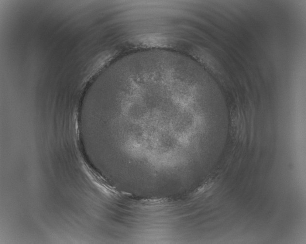 X0000054370398200508121546