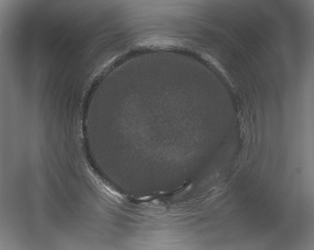 X0000054370399200508121546