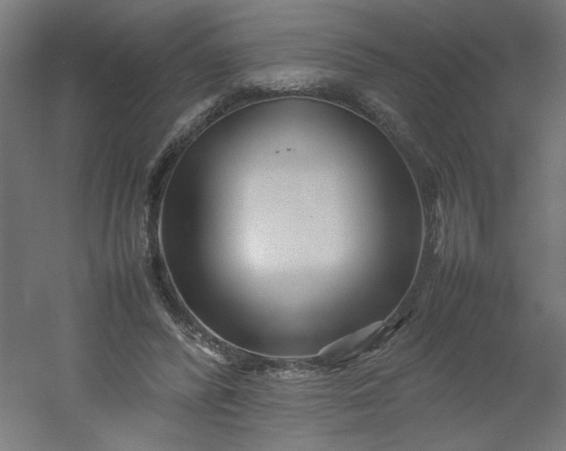 X0000054370400200508121546