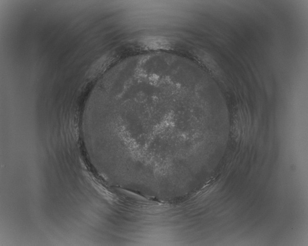 X0000054370402200508121545