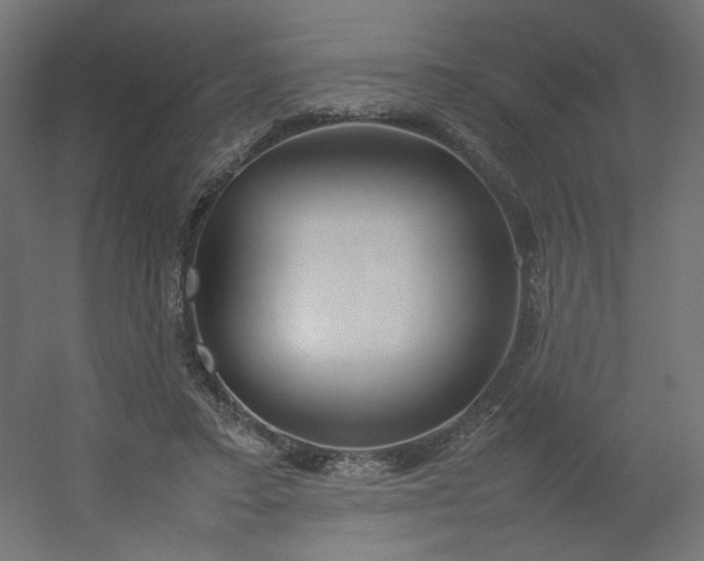 X0000054370403200508121545