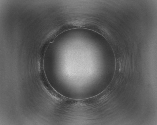 X0000054370404200508121545