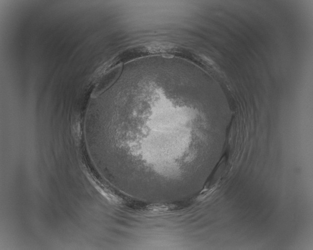 X0000054370405200508121545