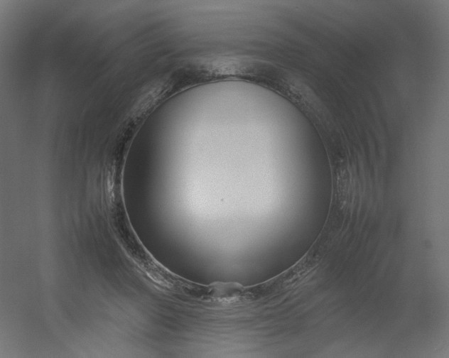 X0000054370406200508121545