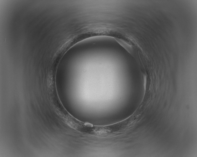 X0000054370407200508121545