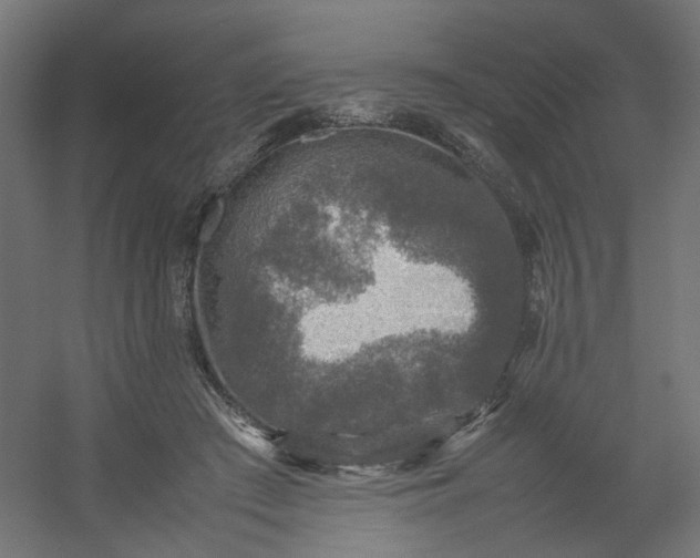 X0000054370409200508121545