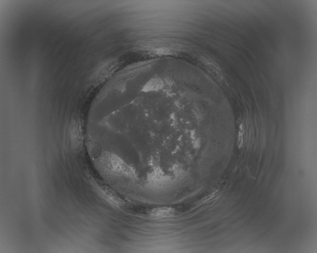 X0000054370410200508121545