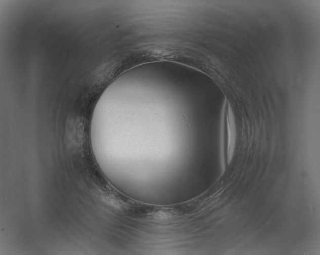 X0000054370412200508121545