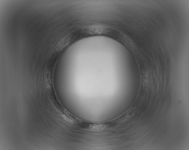 X0000054370414200508121545