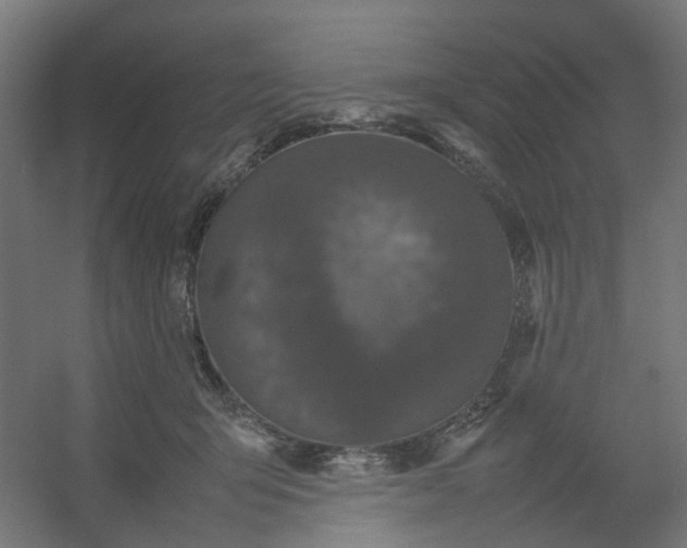 X0000054370415200508121545