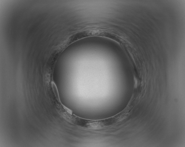 X0000054370417200508121545