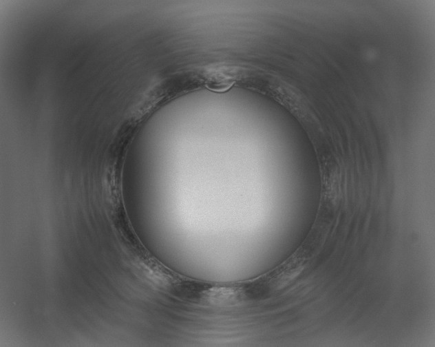 X0000054370418200508121545