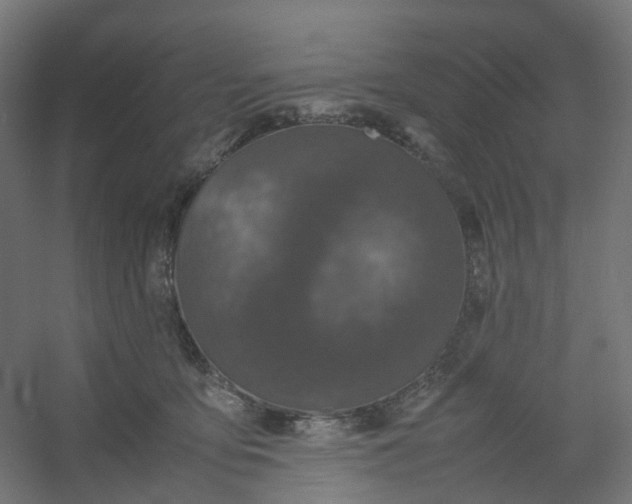 X0000054370419200508121545