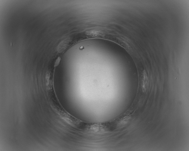 X0000054370420200508121545