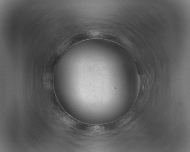 X0000054370421200508121545