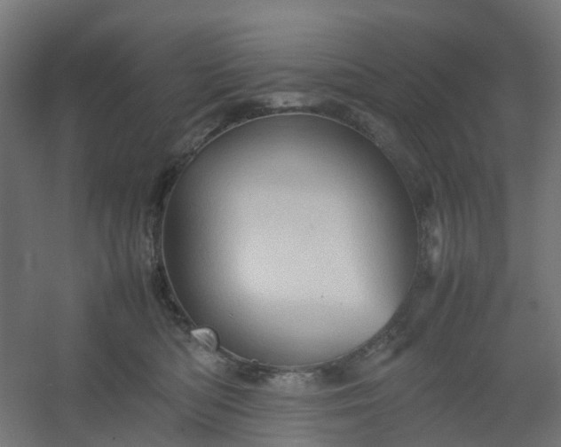 X0000054370422200508121545