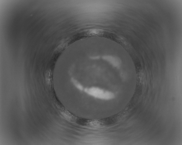 X0000054370423200508121545