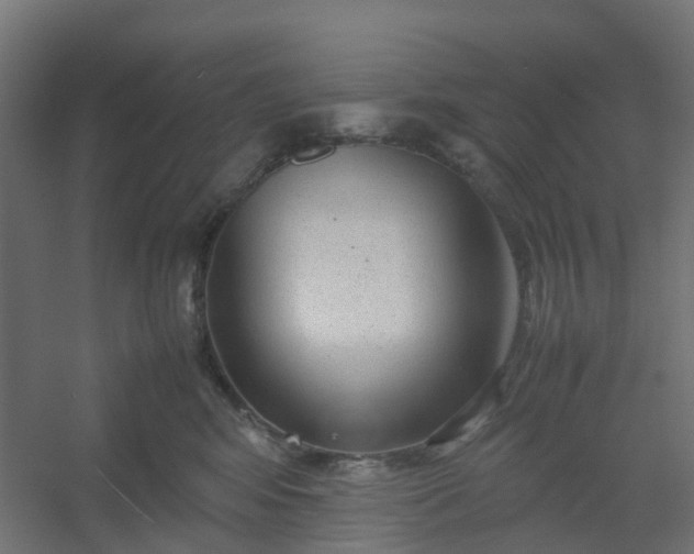 X0000054370424200508121545