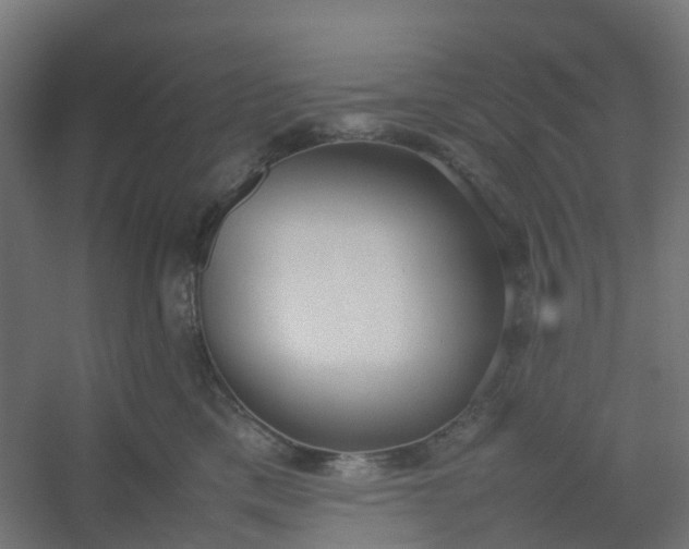 X0000054370425200508121545