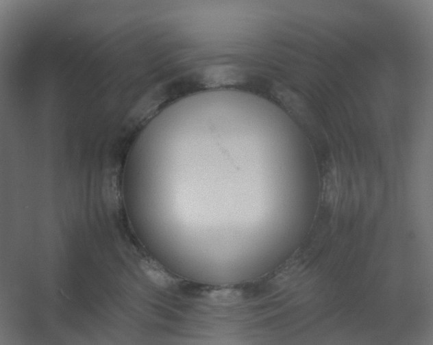 X0000054370426200508121545