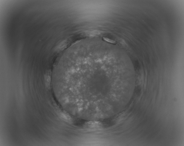 X0000054370427200508121545