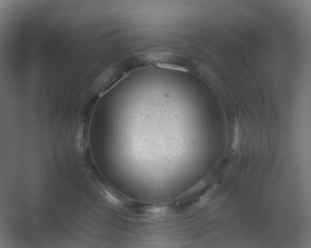 X0000054370428200508121545