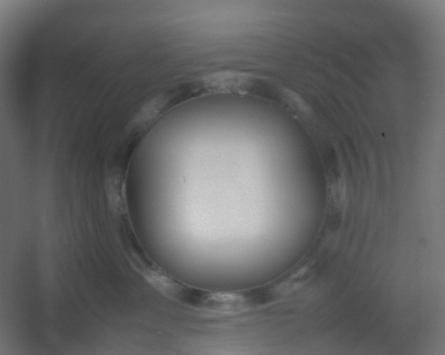 X0000054370429200508121545