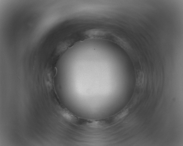 X0000054370430200508121545