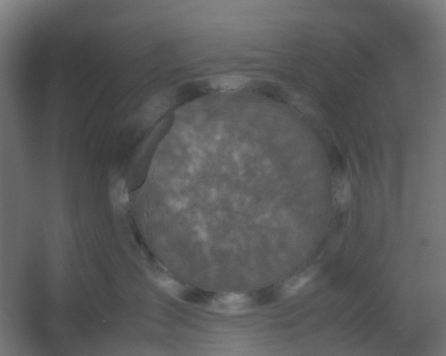 X0000054370431200508121545