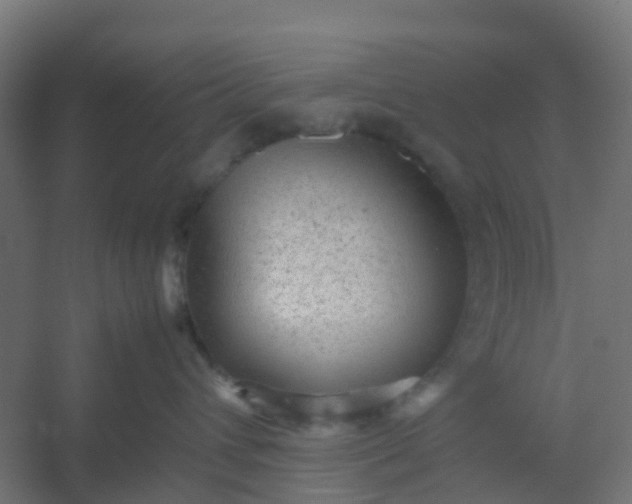 X0000054370432200508121545