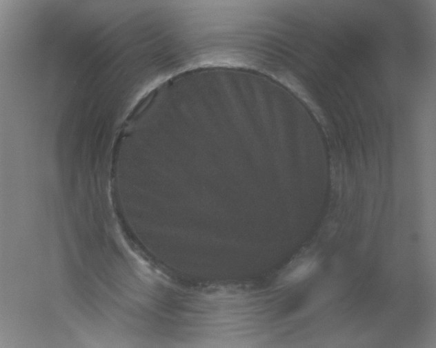 X0000054370434200508121544