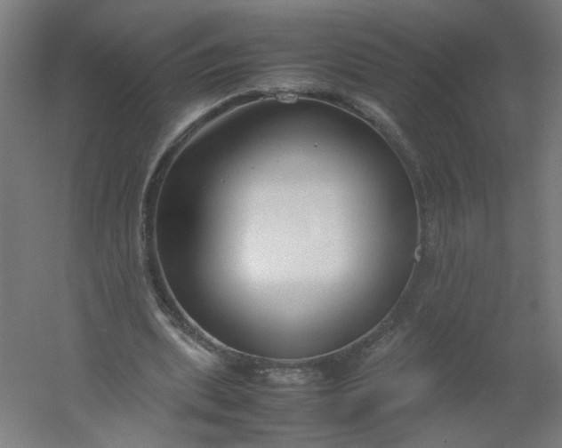 X0000054370439200508121544