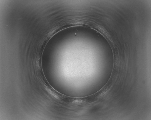 X0000054370441200508121544