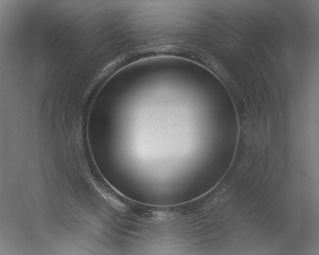 X0000054370442200508121544