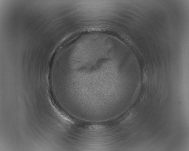 X0000054370444200508121544