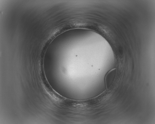 X0000054370447200508121544