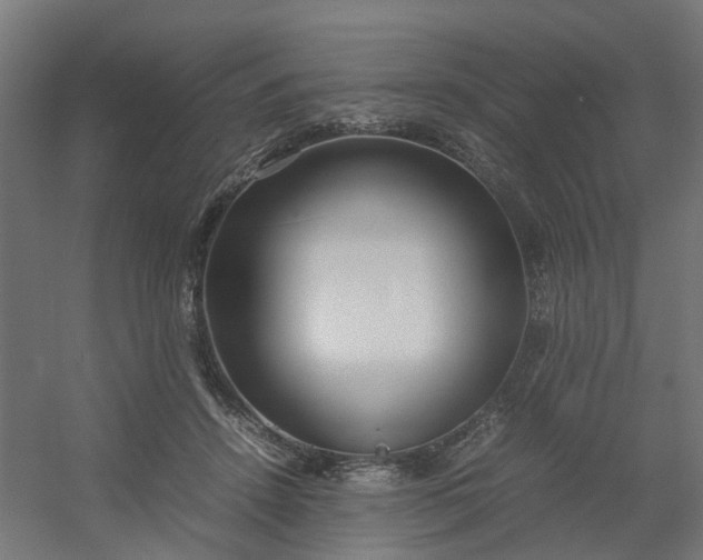 X0000054370456200508121545