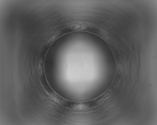 X0000054370460200508121545