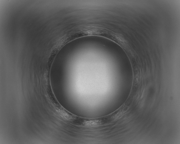 X0000054370461200508121545