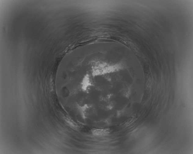 X0000054370465200508121545