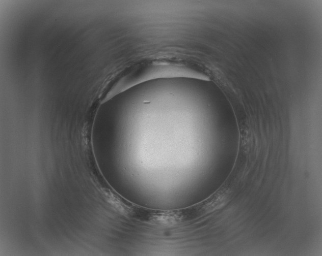 X0000054370466200508121545